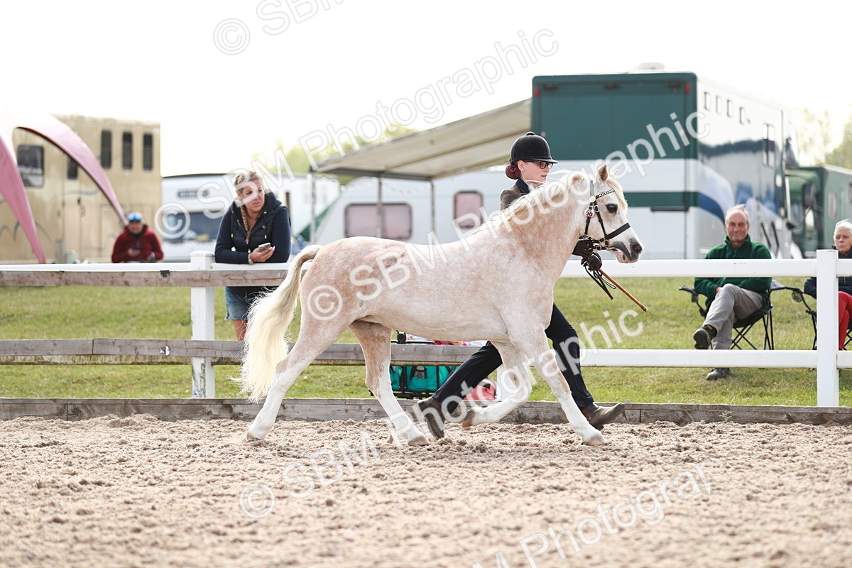 SBM_13894 - Class 209 IH Veteran Pony