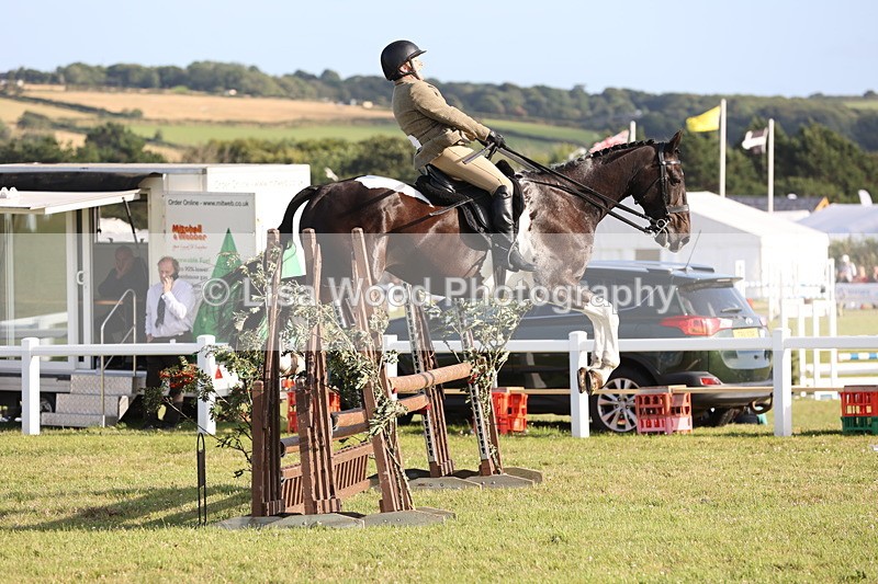 JPP_3460 - Class 22: Working Hunter 90cm