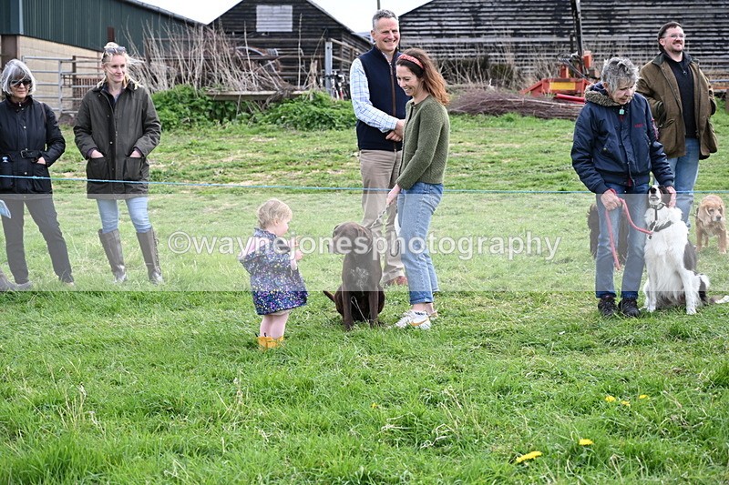 WJ6_8567 - Class 6 Best Rescue