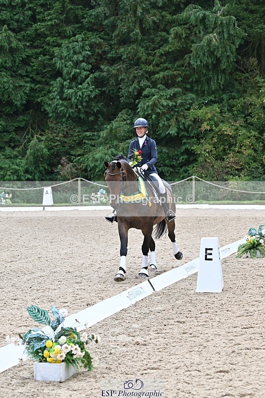 240811-132428-05955 - Medium Silver