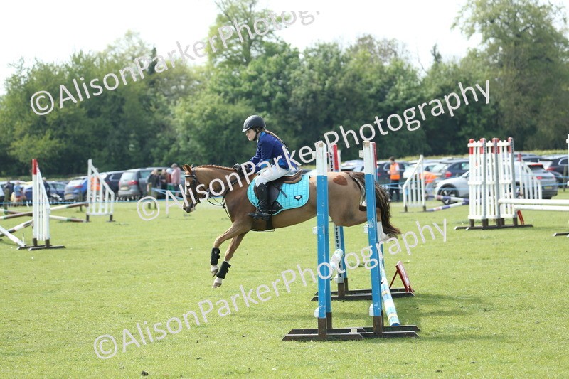20260426-1691 - Class 14 - Novice 60cm