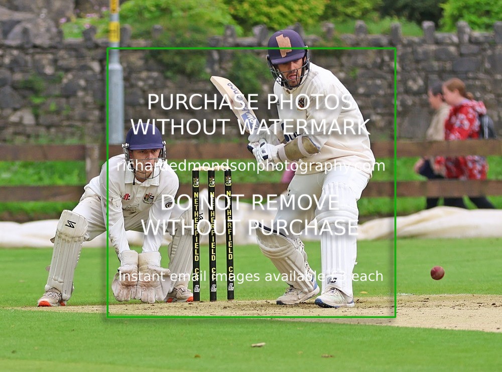 533A3919 - Cricket Photo Gallery 2025 season