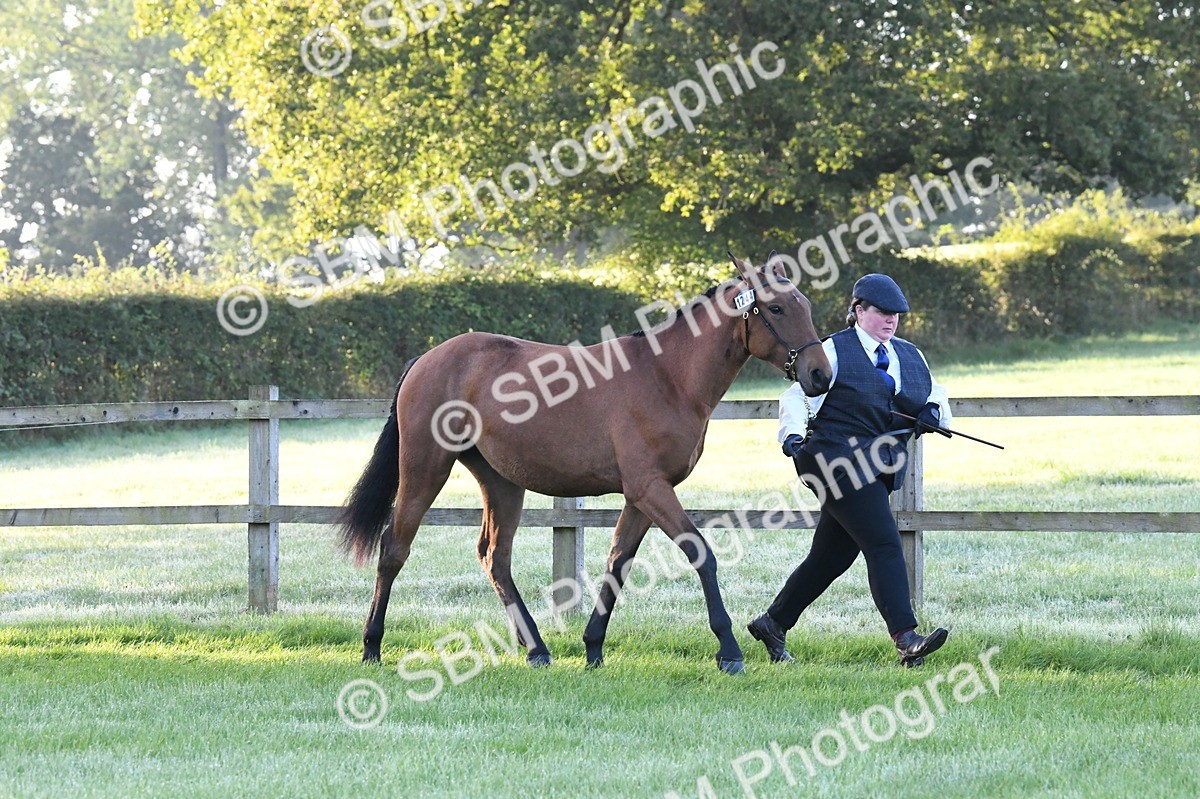 SBM_32559 - S15 - Condition & Turnout In Hand