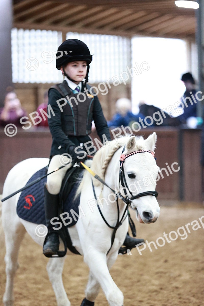 SBM_000247 - Class 1 - Cross Pole Jumping 30cm 40cm