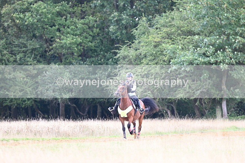 DSC_7289 - Time at Statue 13:16 to 13:52