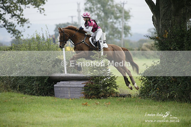  WWHT 171021 1017 - Open Novice (0.80m)  17/10/21