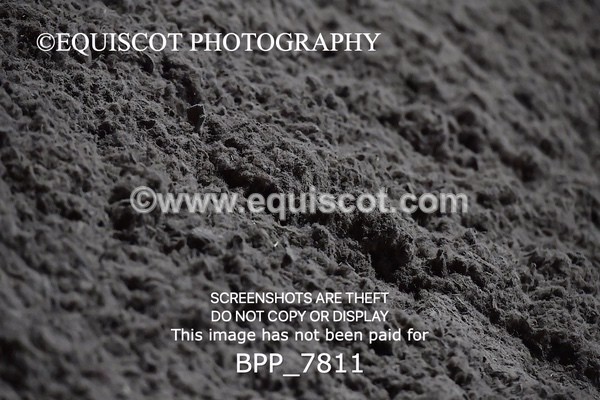 BPP_7811 - INTRO TEST 1