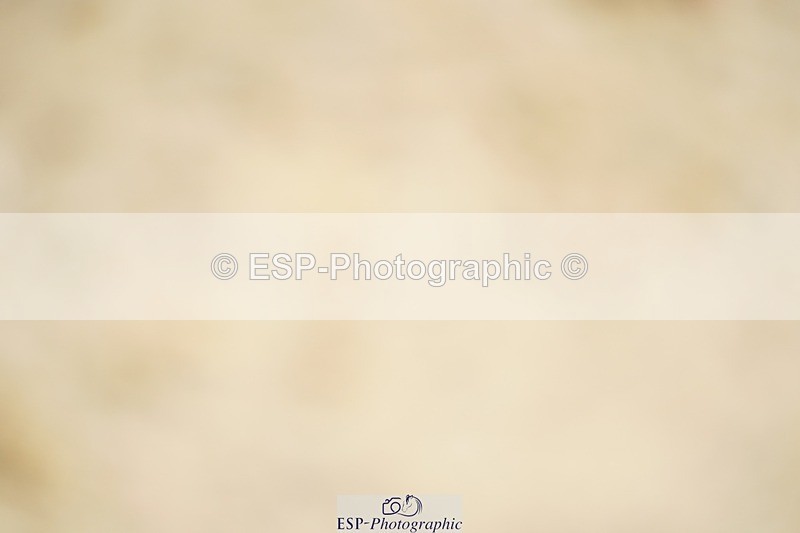 240309-103720-00071 - Cls 01 AE 70cm