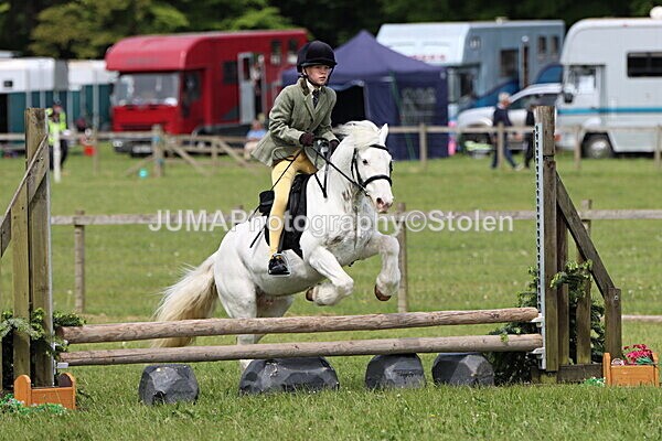 IMG_3028 - Working Hunter