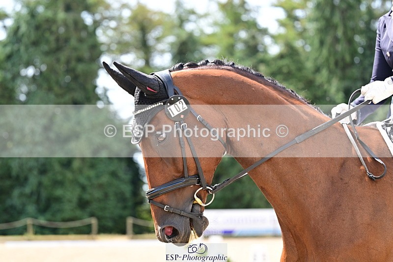 260802A-114654-05947 - Novice Silver break- end