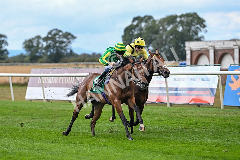 290825-Race 2-Brigids Well-8364 - Race 2