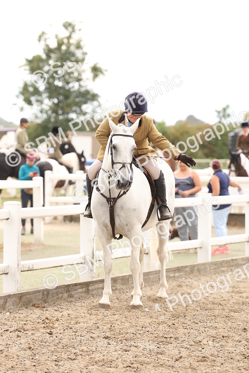 SBM_06781 - Class 58a -  Style & Performance - 70cm (15-19)