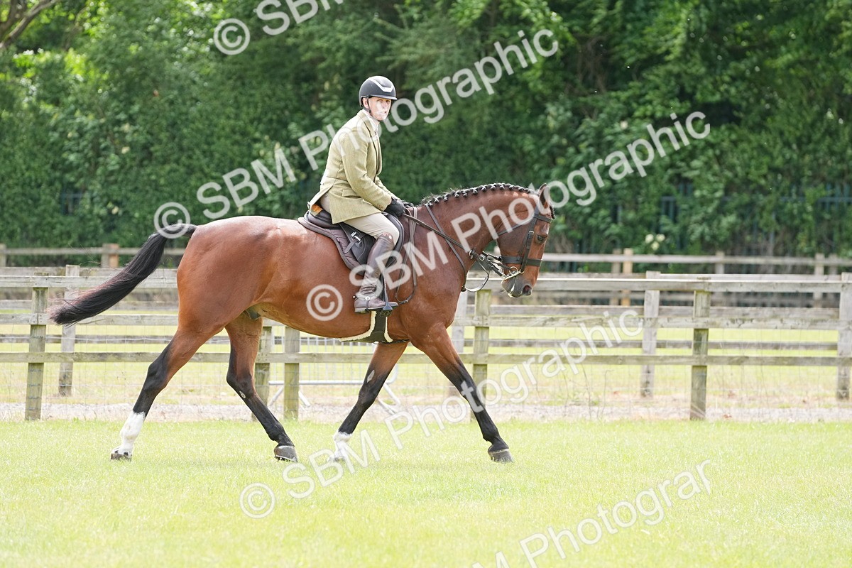 SBM_14999 - Class 100-102 - RIHS Working Hunter