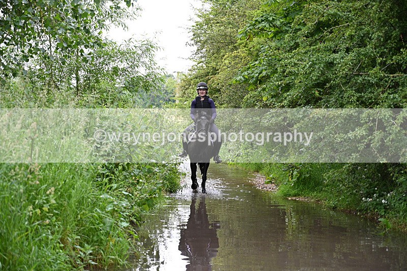 WJ7_2164 - Camera 2 Water Crossing