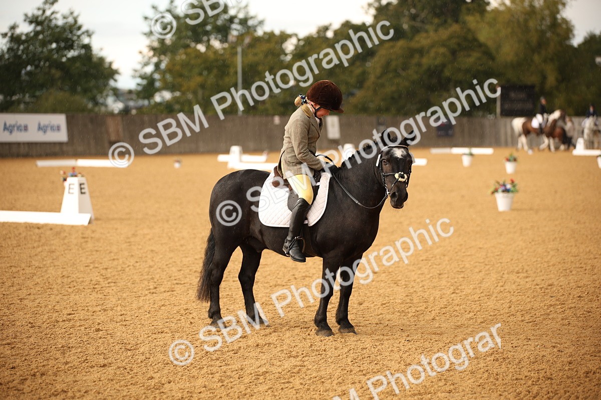 SBM_12376 - D3 Small  Tour Championship Intro A