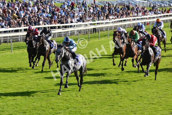 yr08102021r3-26 - Race 3 3.15pm Download The Casumo App Today Handicap