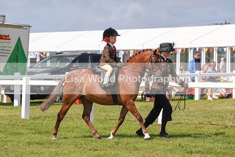1X9A3828 - Plaited Mini Ridden Championship