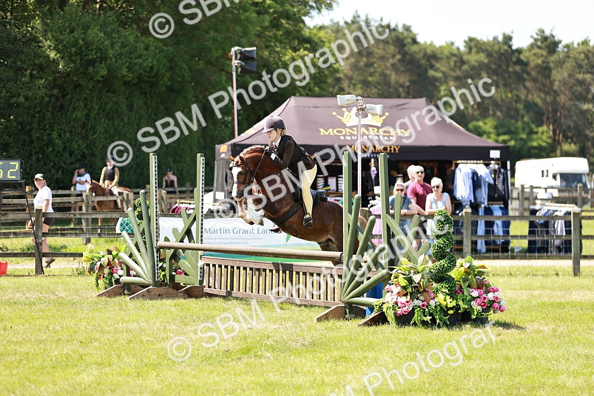 SBM_15505 - Class 108-109 - BSPS LIHS Open Gradle & Nursery Stakes