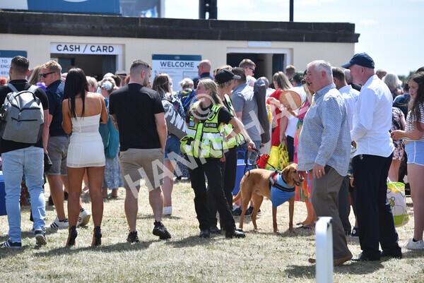 yr09072022r1-29 - Race 1 1.45pm John Smith's Racing Stakes