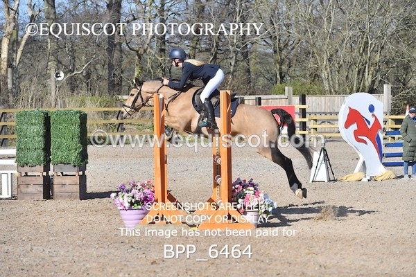 BPP_6464 - CLASS 10 SUN Newcomers/ 1m Open