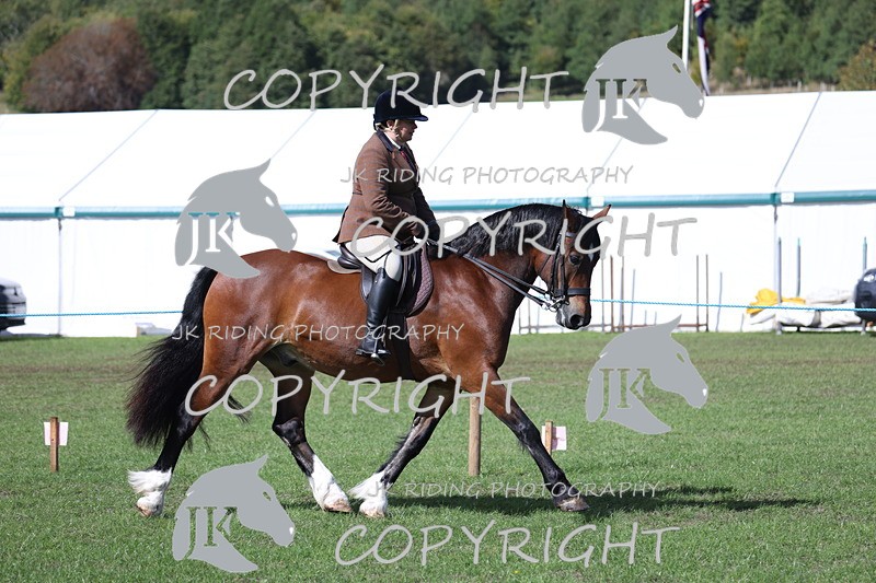 APP_3504 - Class 12 M&M ridden