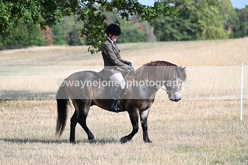 WJ7_2665 - Class 8 Ridden Tack & Turnout