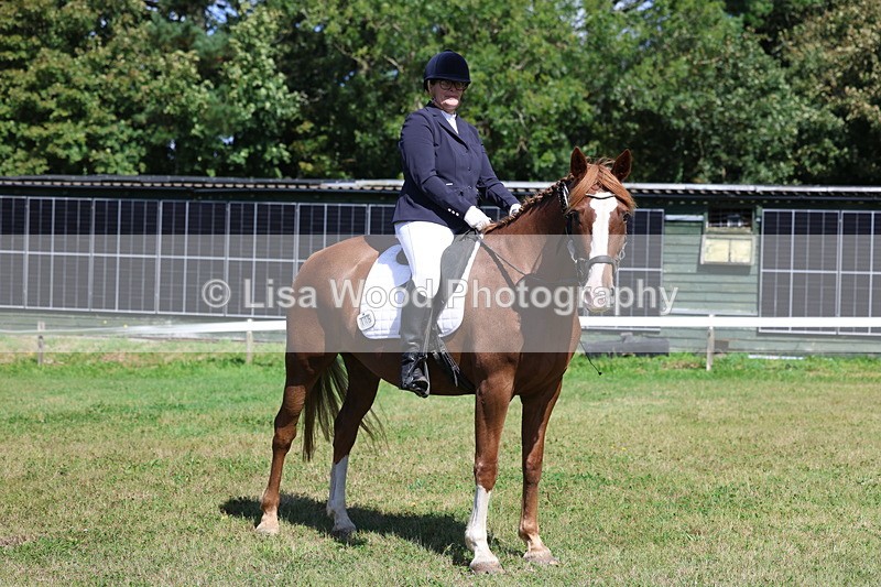 3E7A3511 - Presentations.