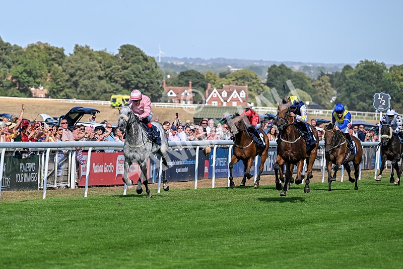 120826-Race 5-Ciao Capo-6936 - Race 5 16.15pm Cayenne Electric At Porsche Centre Hull Handicap