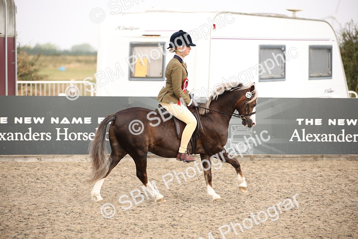 SBM_12643 - Class 405b - M&M Working Veteran 50cm 20+