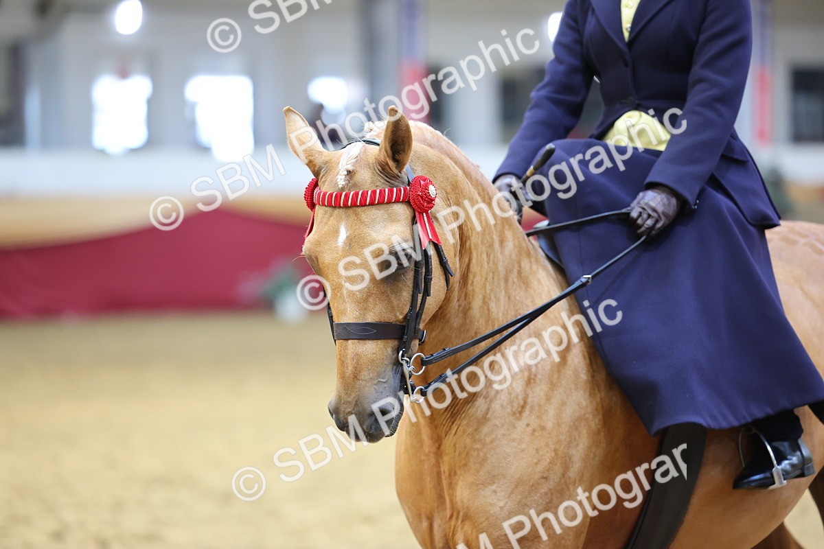 SBM_24461 - Class 906 - Supreme Final - Ridden Pre Vet