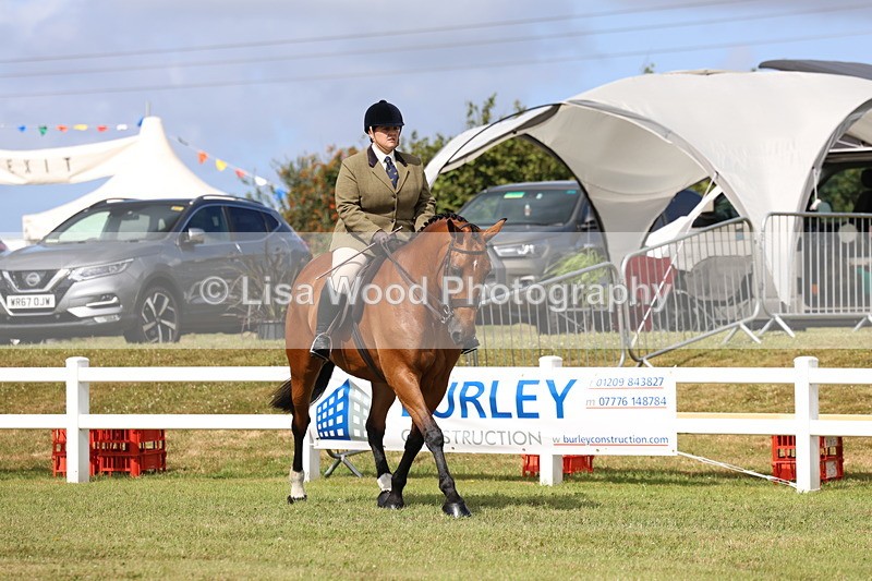 3E7A9412 - Class 4: Rising Star M/H Hunter