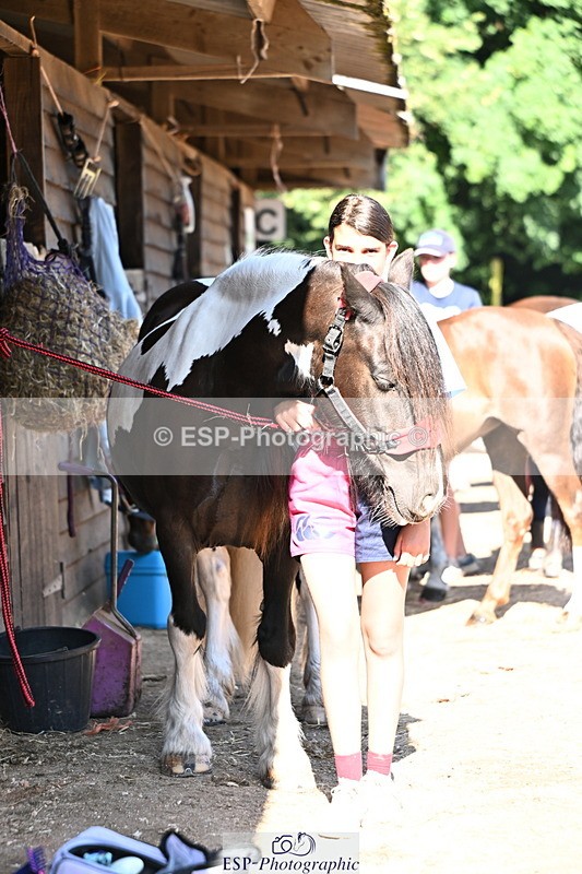 240729B-092417-01777 - Monday Stable Shots