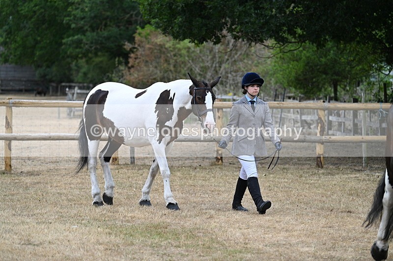 WJ7_8682 - Class 4a Prettiest Mare 14.2hh and over