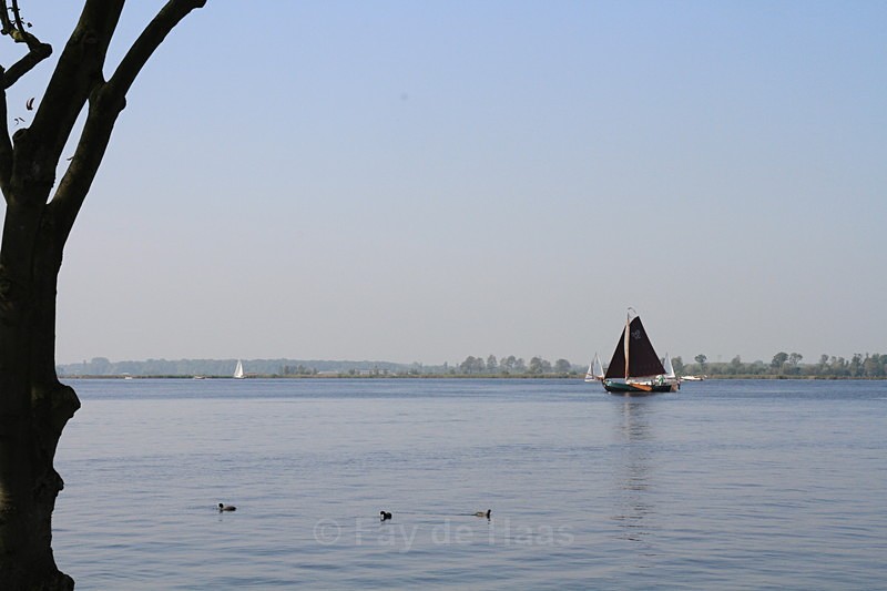  - Home in the Polder