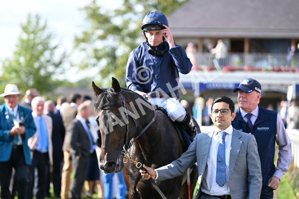 220825-257 Frescobaldi - Race 6 4.45pm British Stallion Studs EBF Convivial Maiden Stakes
