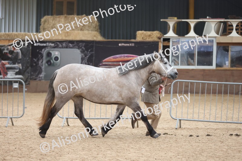 20251109-1138 - Championship