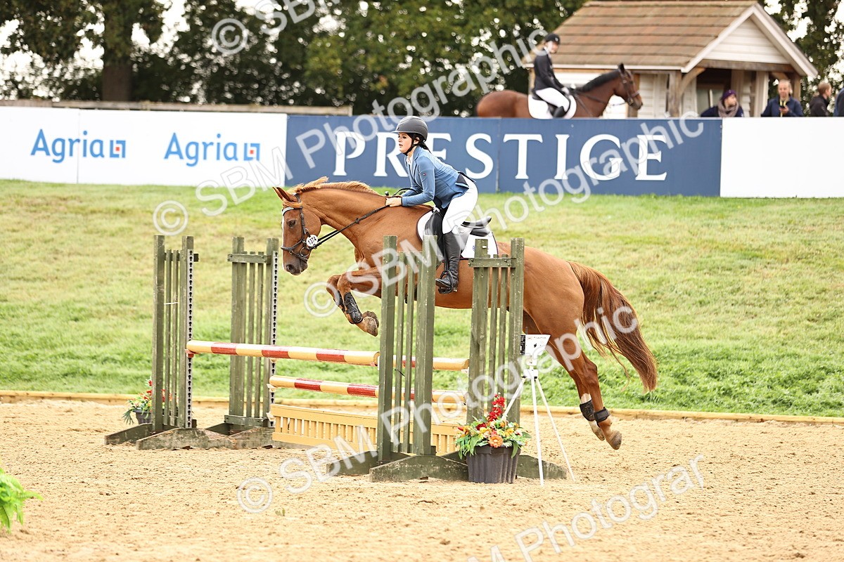 SBM_58524 - J41 - Grand Tour Horse & Pony 95cm