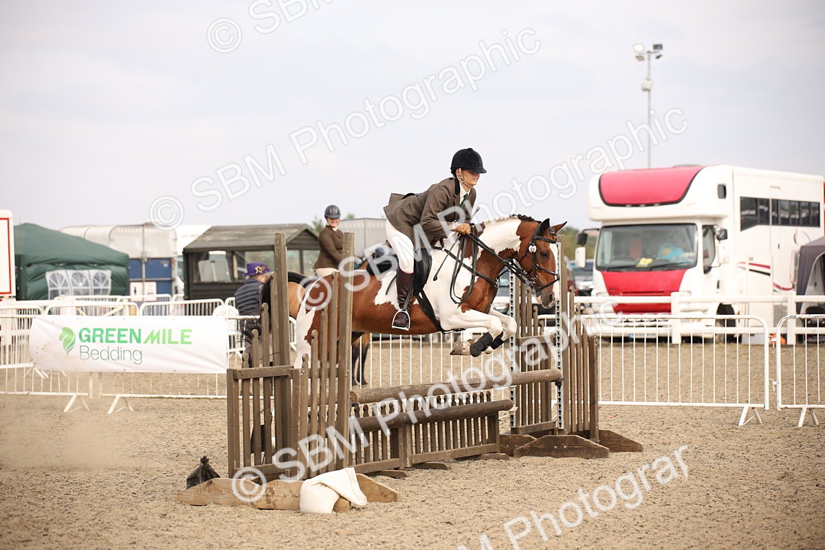 SBM_17132 - Class 409b - Working Veteran 80cm (20+)