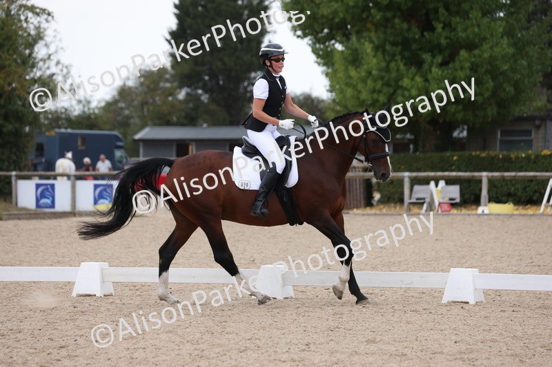 20250819-1656 - Class 6 - Elementary 1