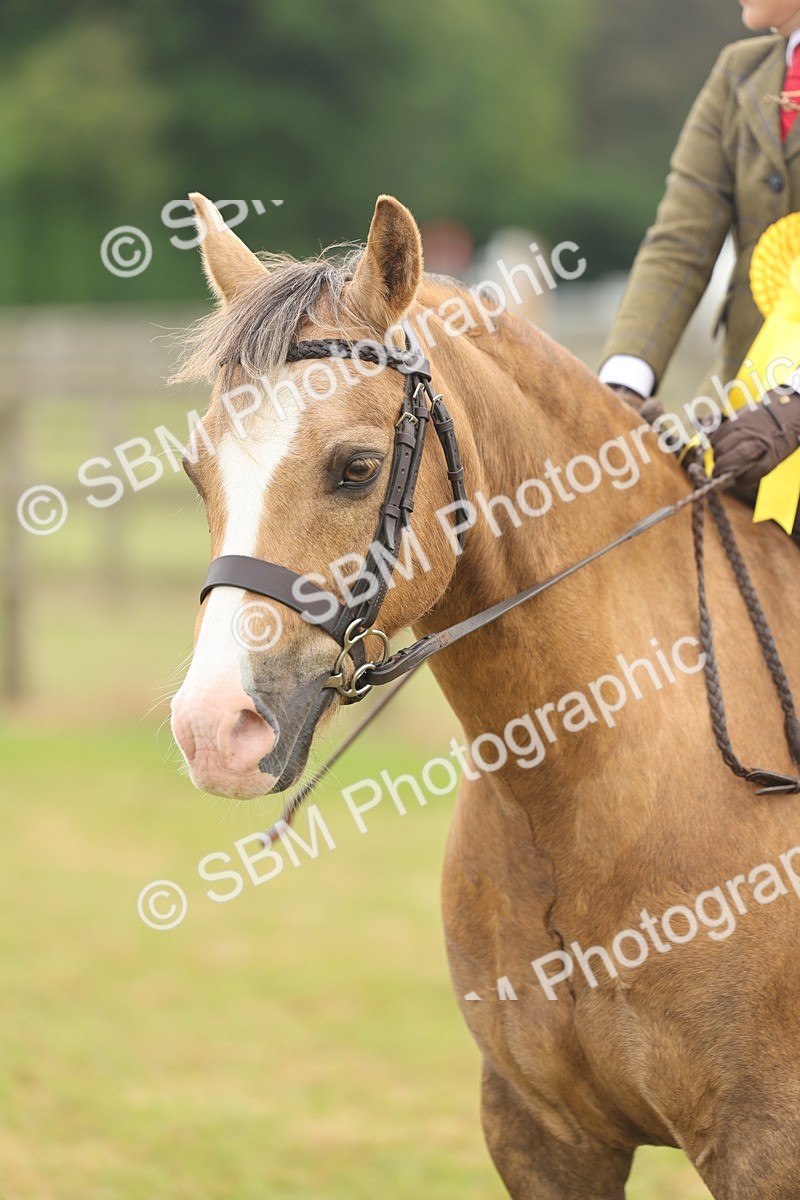 SBM_06912 - Class 74-75 - M&M Lead Rein and First Ridden Pony