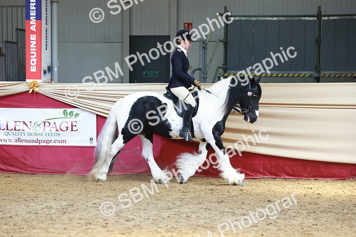 SBM_23297 - class 906 - Supreme Final - Ridden Pre Vet