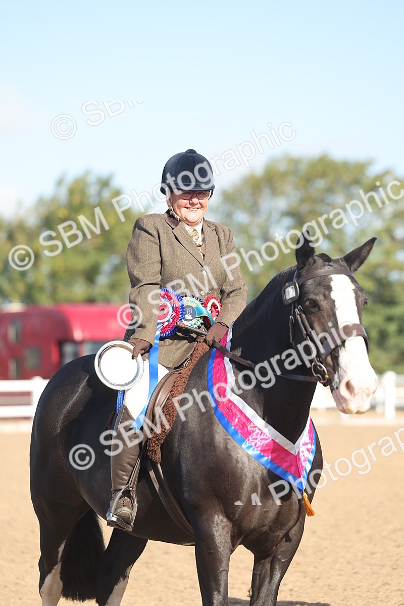 SBM_22239 - Class 802 - Ridden Groom Helpers Class