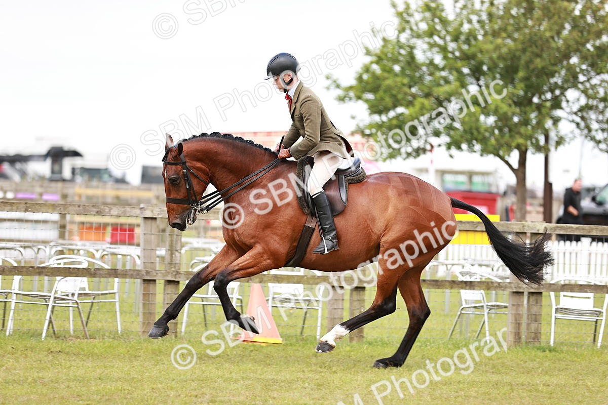 SBM_10793 - Class 81-84 - RIHS Ridden hunters Inc Ladies Hunter
