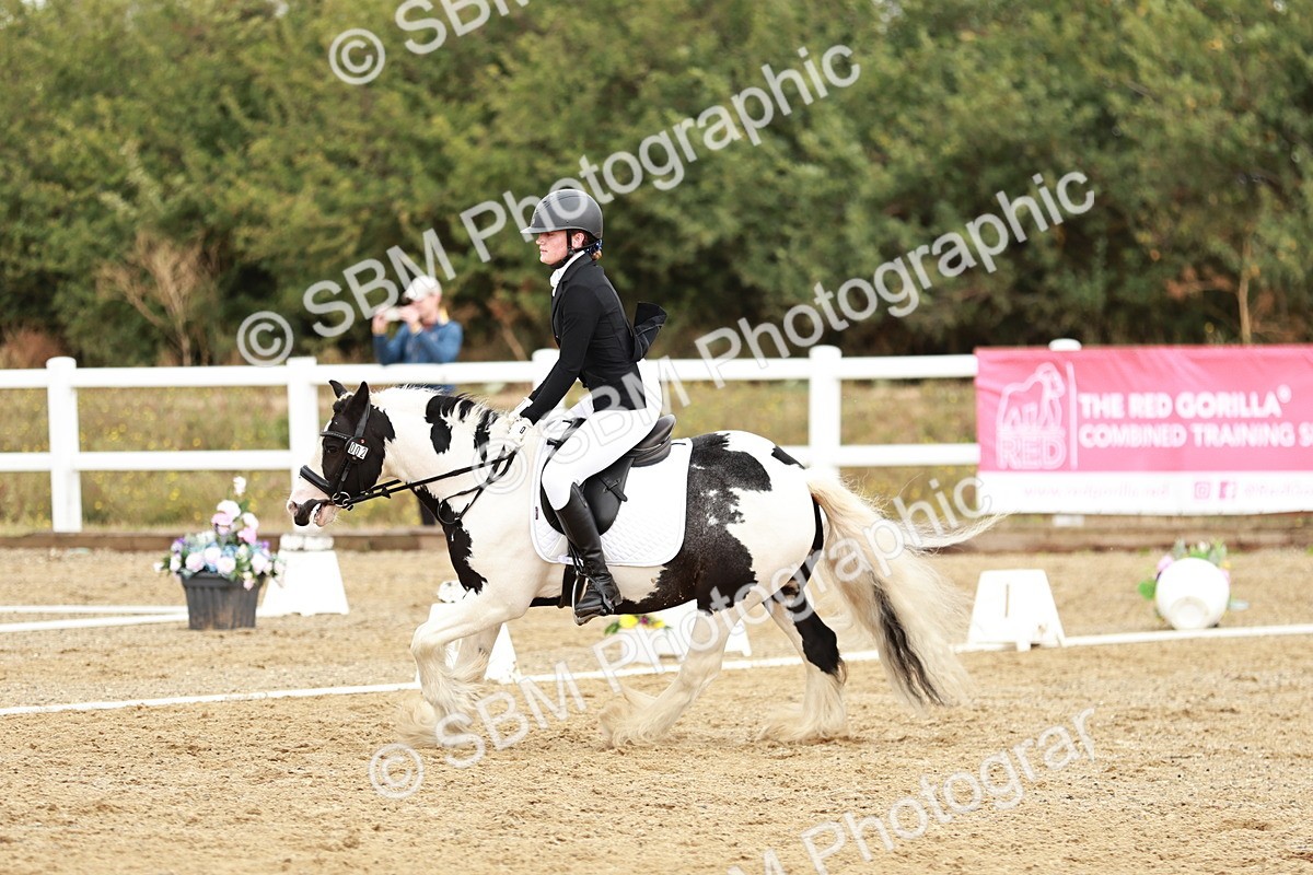 SBM_002719