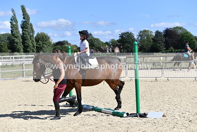 WJ5_5203 - Poles on the Floor