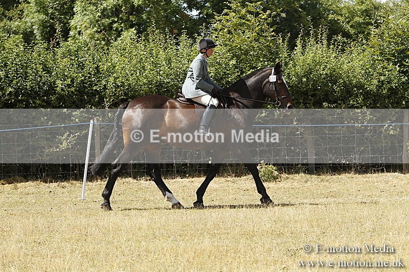 _BS_0726 - BVRC Show 2018 Ring 1