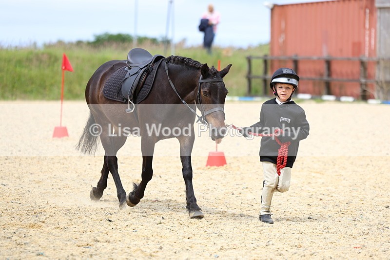 3E7A9382 - Walk trot run