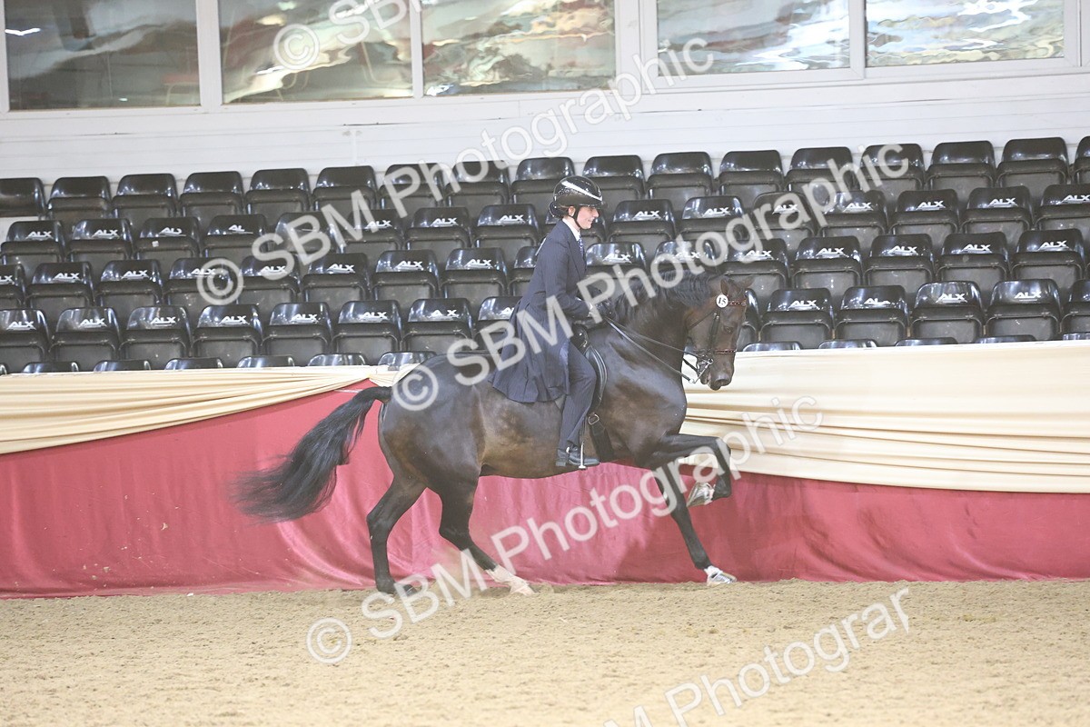 SBM_23767 - class 906 - Supreme Final - Ridden Pre Vet
