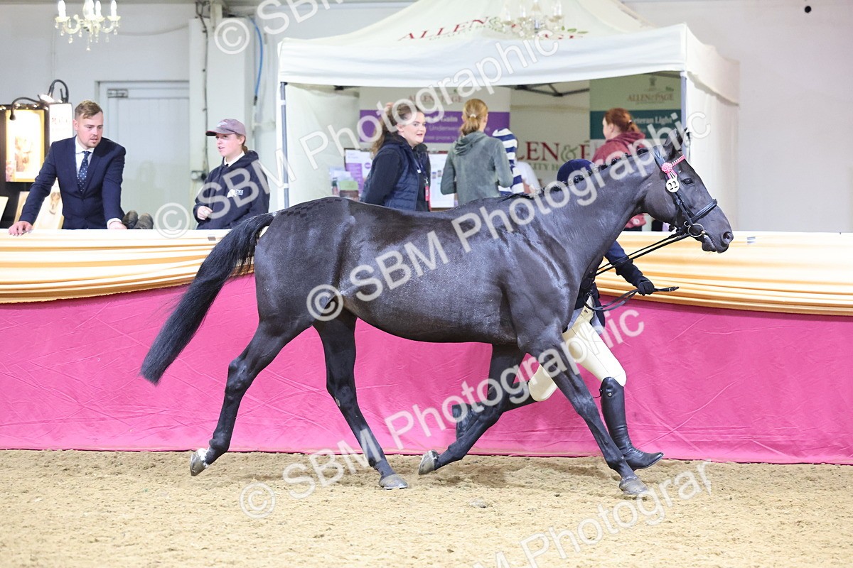 SBM_21022 - Class 902 - Supreme Final IH Veteran