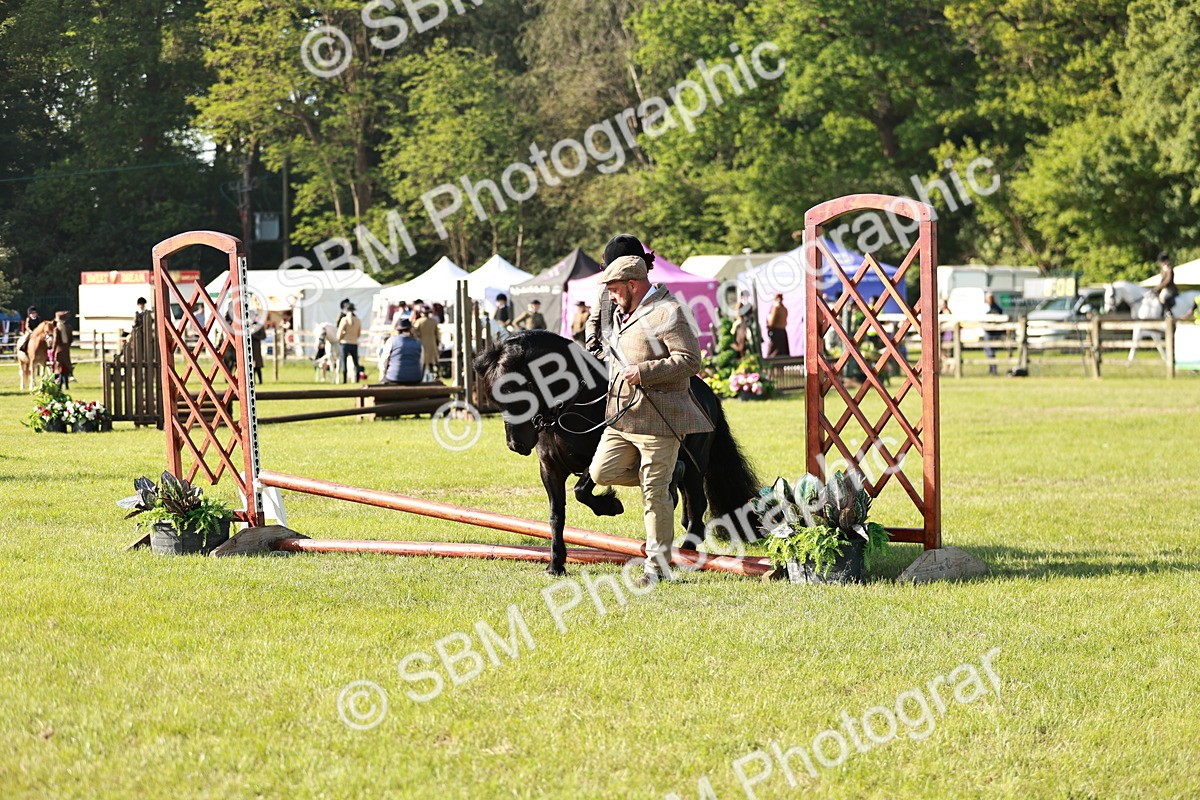 SBM_11173 - Class 106-107 - BSPS LIHS Working Sports Pony